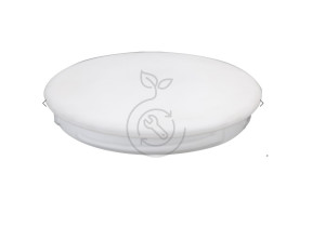 1 verre blanc pour breva sp nt56301 169SPNT56301