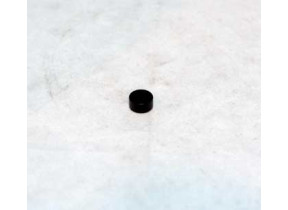 Aimant (8x4) 480112101493