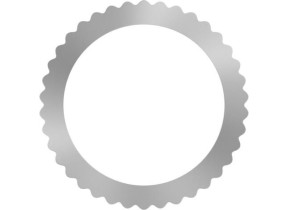 Anneau de réduction pour lame de scie circulaire PRO Bosch 15x0.6x10 mm - 2600100372