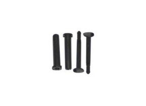 Axes de charnière (x2) 76X3504