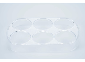 Bac a oeufs (6) (152x95x20) scholtes C00090981