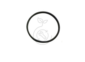 Bague de base b261088c0315d3a b261088c0315d3a 3975016X01G