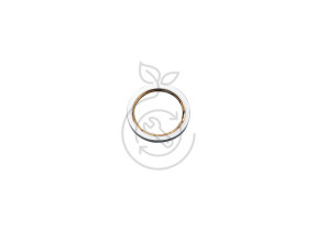 Bague de base (sd90045-07-02) sd90045-07-02 024SD900450702