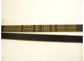  bloc moteur - courroie 2005170300