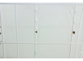  bloc panier - panier inférieur C00054825