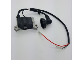 Bobine d\'allumage 24111205