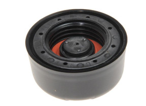 Bouchon de chaudière 7313286099