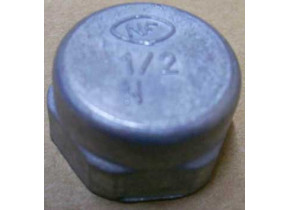 Bouchon de gaz (50x50 bf6600 60g) 133900001