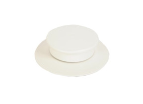 Bouton de couvercle SS-993559