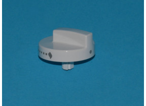 Bouton gp6-42 pg oem2 grav.070/7037 684826