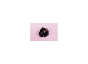 Bouton noir C00097899