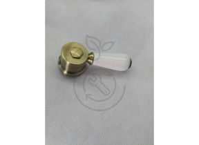 Bouton pour kit de déviateur (42034.001af) 42034.001af 43542034001AF