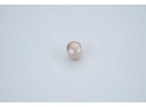 Bouton rose CS00115821