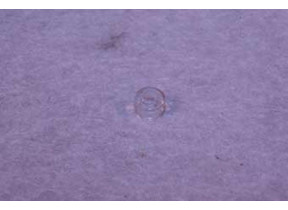 Cabochon transparent C140008G9