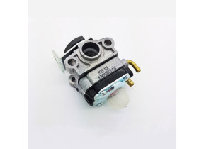 Carburateur 17061035