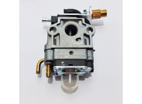Carburateur 19091438