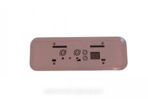 Carte électronique 480132101197