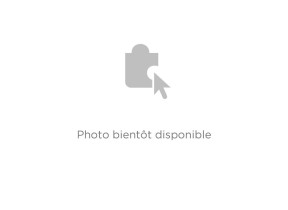 Carte électronique programmée nfc 49038102