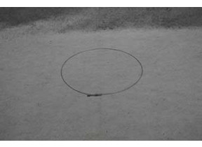 Collier de serrage arriere joint hublot 481949238119