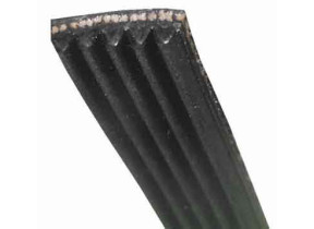 Courroie atl 800/1000 1108 mm j5 C00052872