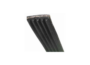 Courroie crantée 5pj 1915 5017140