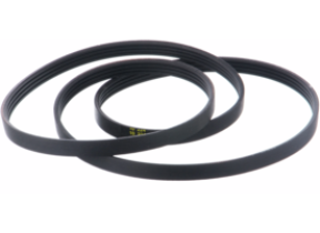 Courroie de transmission 00264987