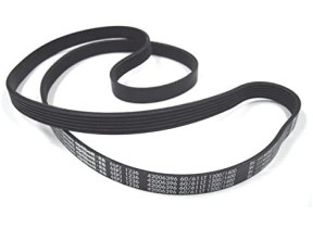 Courroie générique élastique 42006396