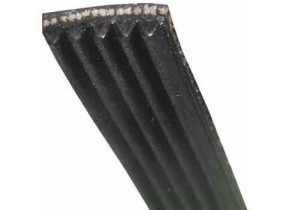 Courroie générique élastique 481281718147