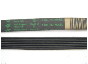 Courroie l=1181 mm h8 C00066521