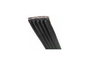 Courroie poly v 1100j4 481935810042