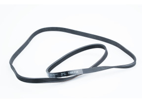 Courroie poly v 55X7361