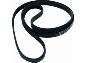 Courroie poly v 80001704