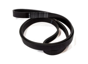 Courroie poly v C00092020