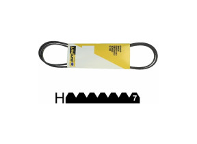 Courroie pv 1980h7 481281728435