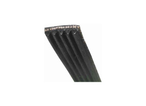 Courroie pv1150j4 481281718149