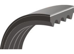 Courroie striee 1985H7