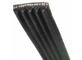 Courroie tirage 41003977