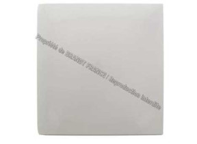 Couvercle + butée AS6021825