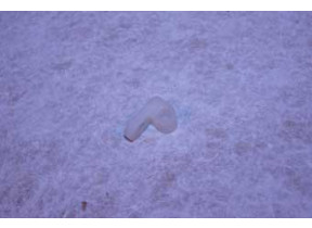 Douille attache charnière bas 154467