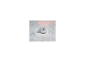 Durite ,bcd-290,silicon DA63-01833A