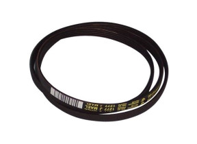 El courroie elastique 2005170400