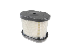 Filtre à air moteur briggs stratton 697029