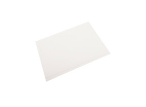 Filtre a graisse C00137545