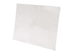 Filtre moteur à decouper pour aspirateur - ef1 9000343120