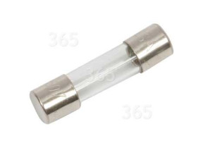Fusible (315ma) 481010489052