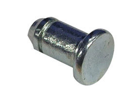 Goujon de charnière C00048504