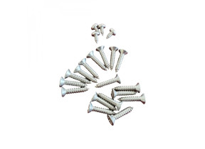 Hayward - Lot de 22 vis pour skimmer de piscine Powerline - PWX13