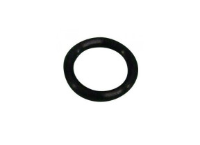 Joint de buse vapeur MS-0036300