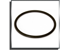 Joint de couvercle préfiltre de pompe br 463/465e, onga 800 / swimmey / atlas / nocchi R702208
