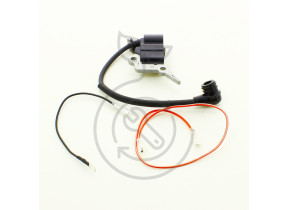 Kit allumage pour pcs38-2 / pcs41-2 / pcs2-35.3 / pcs2-45.3 pcs38/41-2-ek1 345PCS38/412EK1